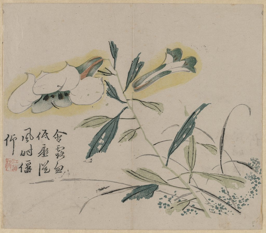 Detail of Flowering Lily, 18th Century by Unknown