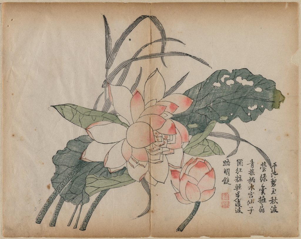 Detail of Flowering Lotus and Bud, 18th Century by Unknown