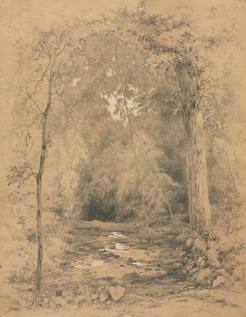 Detail of Forest Interior, c. 1870 by John Henry Hill