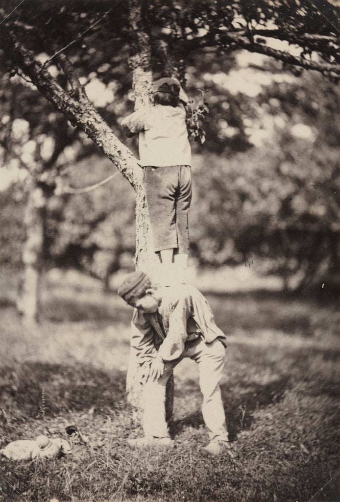 Detail of French Country Study: Two Boys Climbing a Tree, late 1870's by Auguste Giraudon's Artist