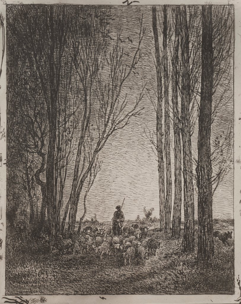 Detail of Gathering in the Flock, original impression 1862, printed in 1921 by Charles François Daubigny