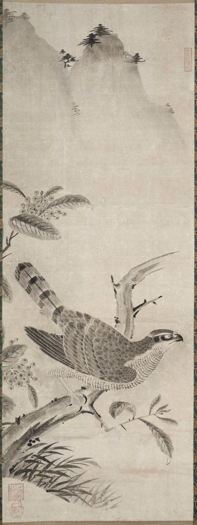 Detail of Hawk, mid 1500s by Masayoshi Fujiwara