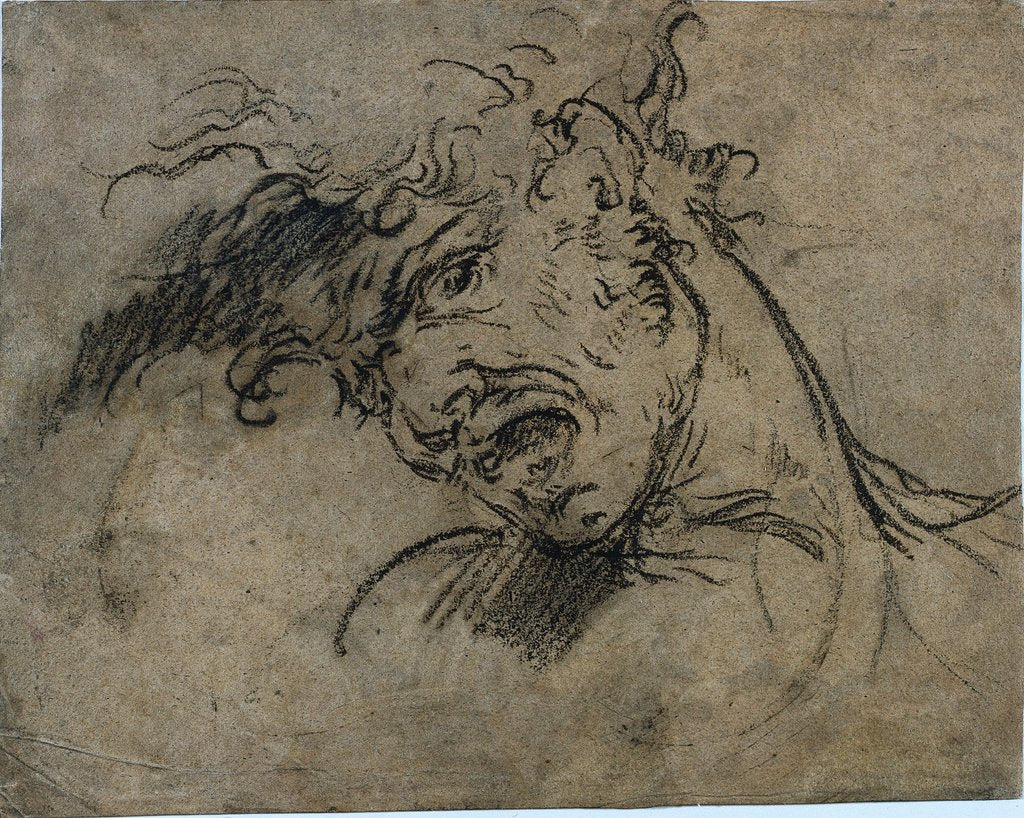 Detail of Head of a Screaming Man, 1792 by Benjamin West