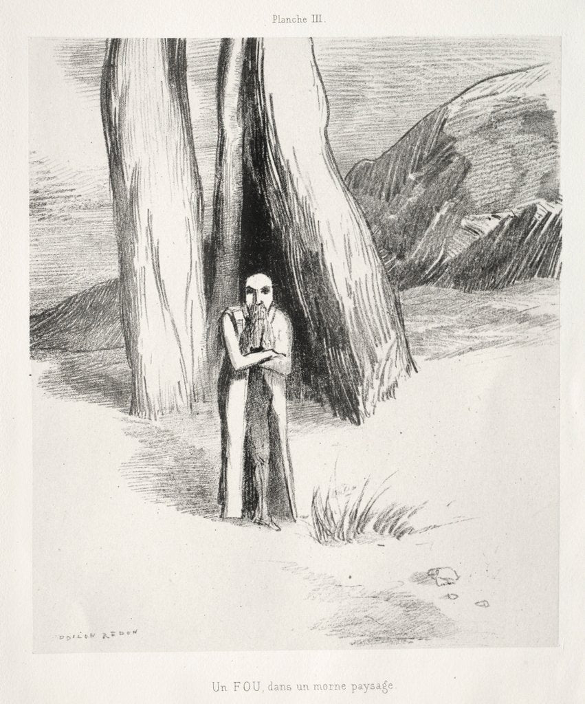 Detail of Homage to Goya: A Madman in a Dismal Landscape, 1885 by Odilon Redon