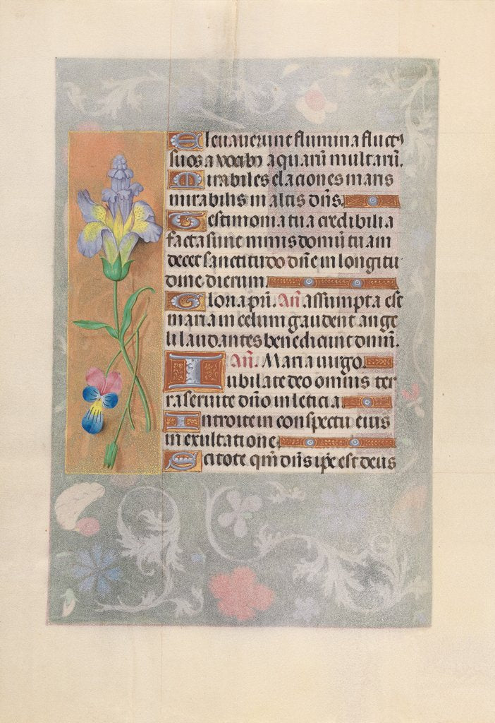 Detail of Hours of Queen Isabella the Catholic, Queen of Spain: Fol. 116v, c. 1500 by Master of the First Prayerbook of Maximillian