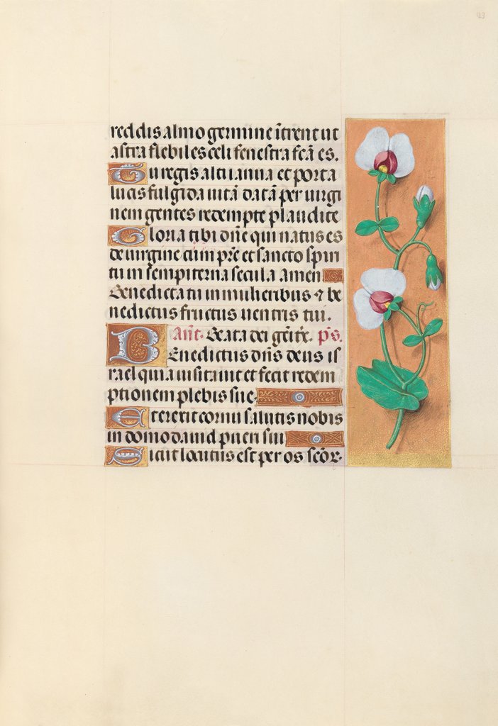 Detail of Hours of Queen Isabella the Catholic, Queen of Spain: Fol. 123r, c. 1500 by Master of the First Prayerbook of Maximillian