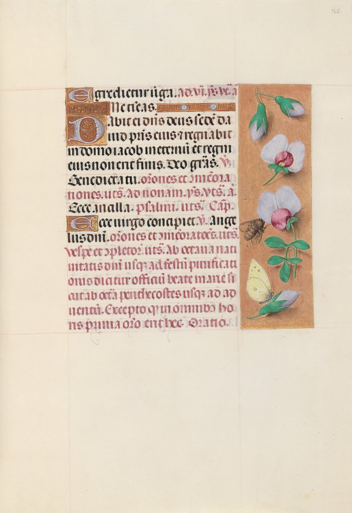 Detail of Hours of Queen Isabella the Catholic, Queen of Spain: Fol. 165r, c. 1500 by Master of the First Prayerbook of Maximillian