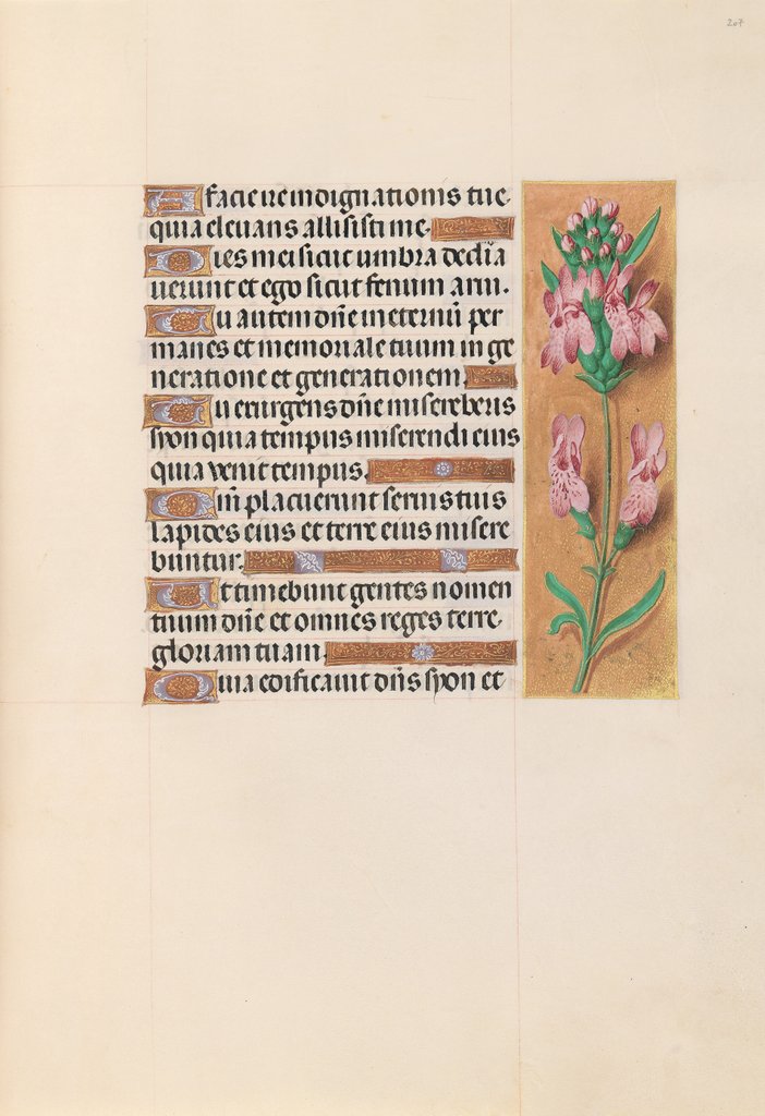 Detail of Hours of Queen Isabella the Catholic, Queen of Spain: Fol. 207r, c. 1500 by Master of the First Prayerbook of Maximillian