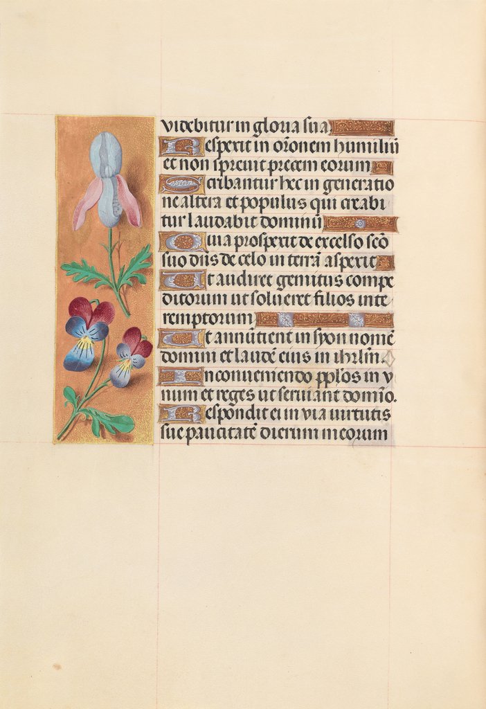 Detail of Hours of Queen Isabella the Catholic, Queen of Spain: Fol. 207v, c. 1500 by Master of the First Prayerbook of Maximillian