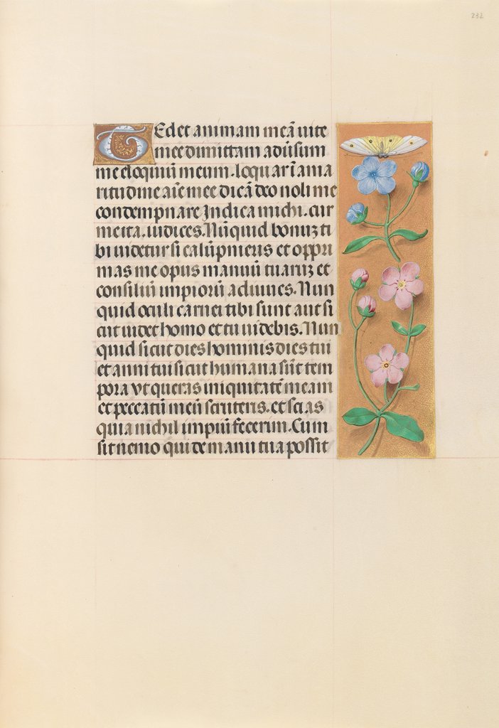 Detail of Hours of Queen Isabella the Catholic, Queen of Spain: Fol. 232r, c. 1500 by Master of the First Prayerbook of Maximillian