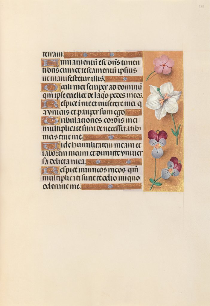 Detail of Hours of Queen Isabella the Catholic, Queen of Spain: Fol. 235r, c. 1500 by Master of the First Prayerbook of Maximillian
