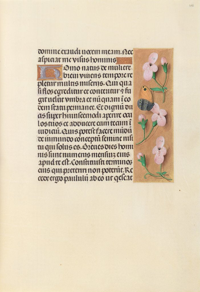 Detail of Hours of Queen Isabella the Catholic, Queen of Spain: Fol. 238r, c. 1500 by Master of the First Prayerbook of Maximillian