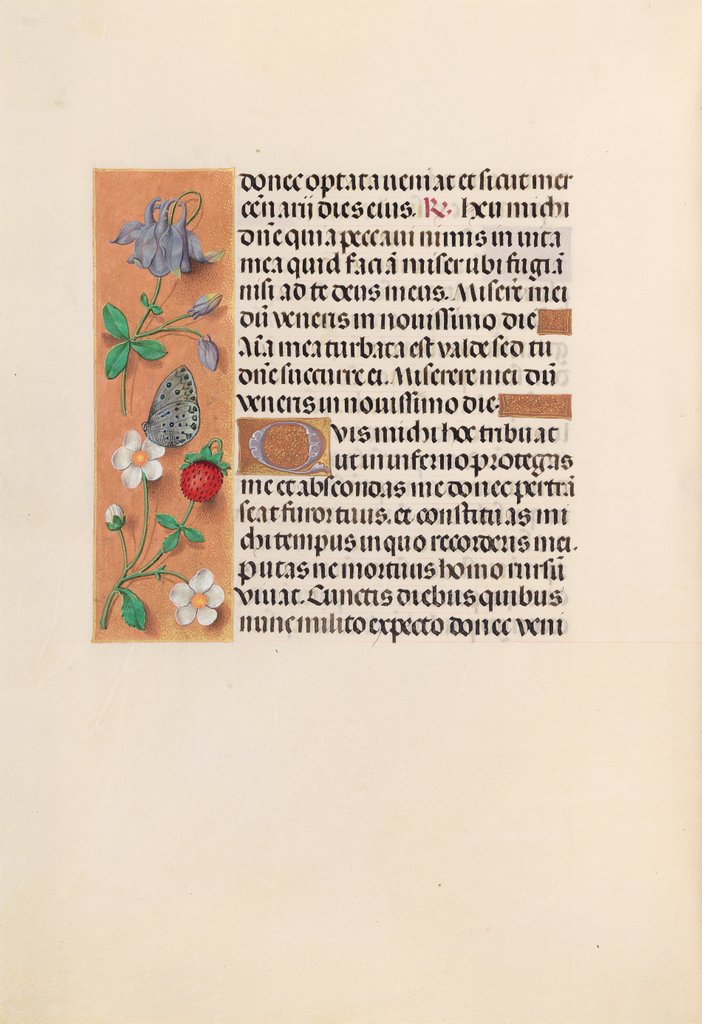 Detail of Hours of Queen Isabella the Catholic, Queen of Spain: Fol. 238v, c. 1500 by Master of the First Prayerbook of Maximillian