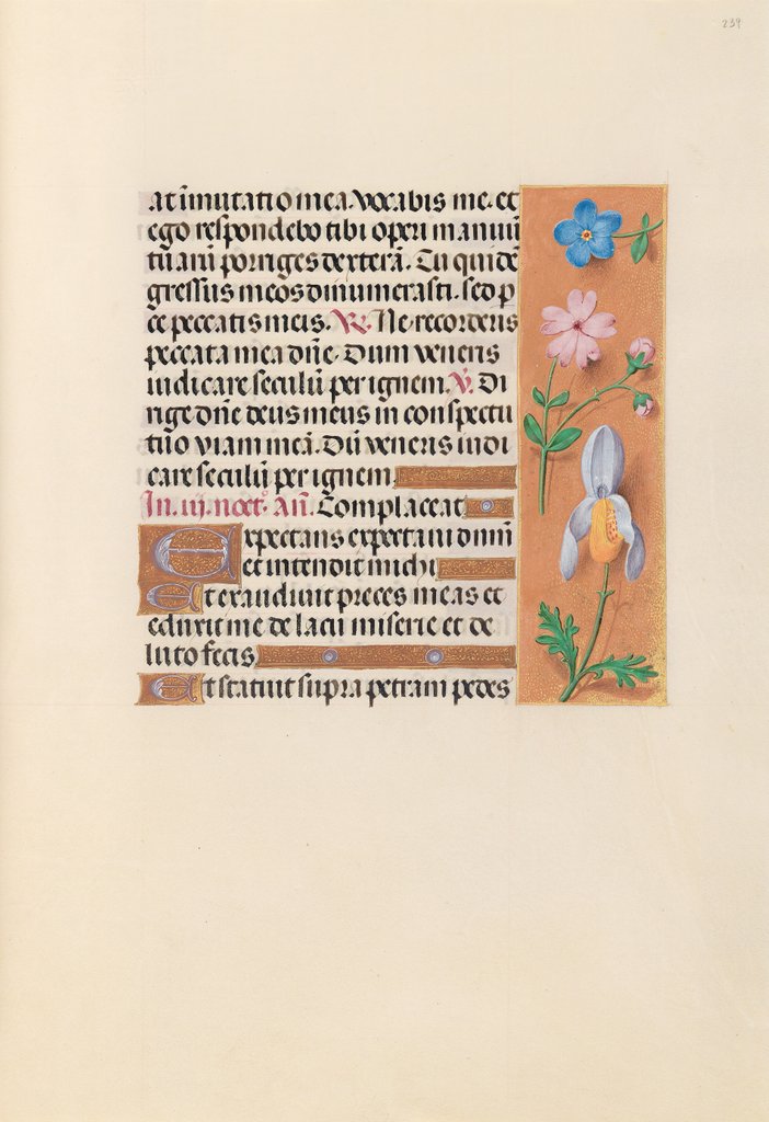 Detail of Hours of Queen Isabella the Catholic, Queen of Spain: Fol. 239r, c. 1500 by Master of the First Prayerbook of Maximillian