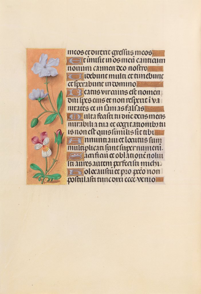 Detail of Hours of Queen Isabella the Catholic, Queen of Spain: Fol. 239v, c. 1500 by Master of the First Prayerbook of Maximillian