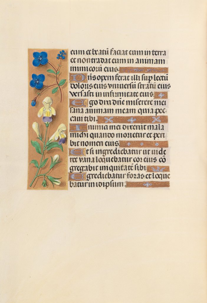 Detail of Hours of Queen Isabella the Catholic, Queen of Spain: Fol. 241v, c. 1500 by Master of the First Prayerbook of Maximillian