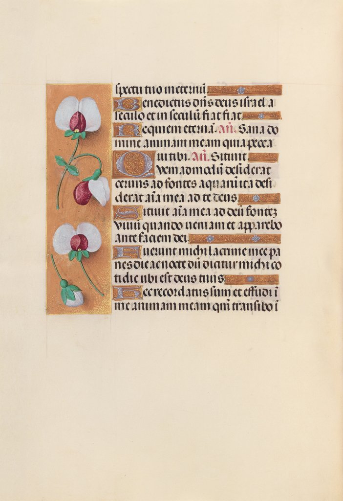Detail of Hours of Queen Isabella the Catholic, Queen of Spain: Fol. 242v, c. 1500 by Master of the First Prayerbook of Maximillian