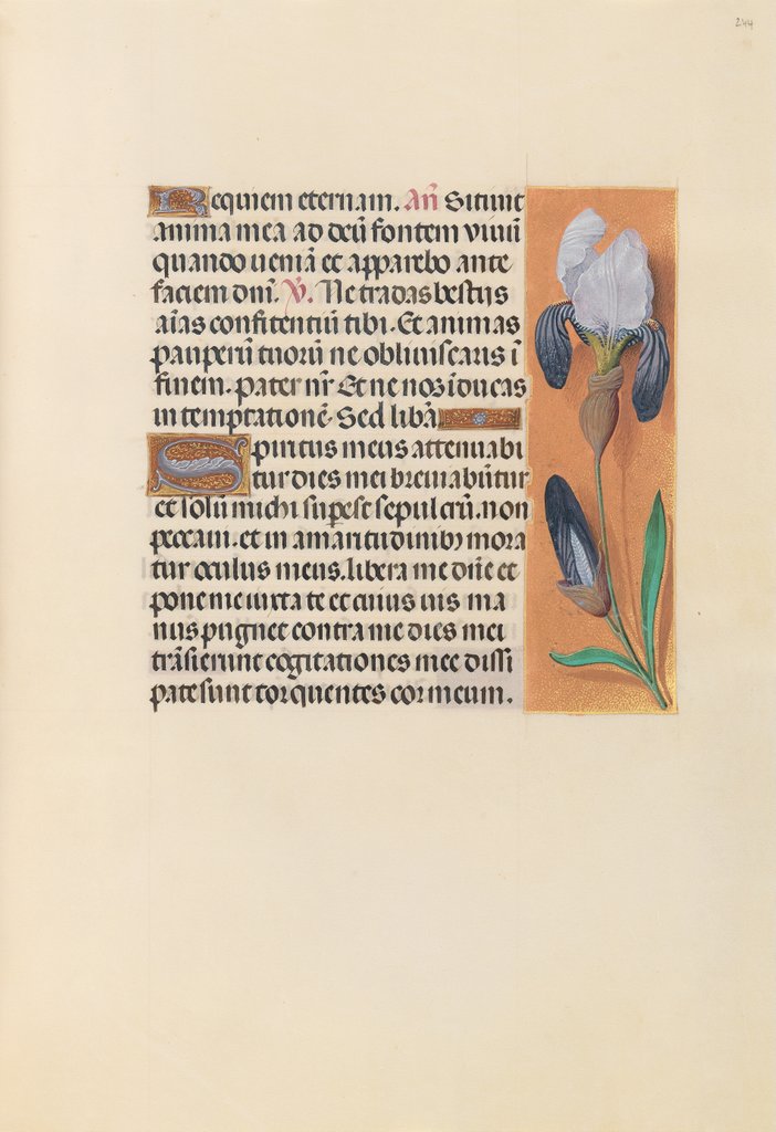 Detail of Hours of Queen Isabella the Catholic, Queen of Spain: Fol. 244r, c. 1500 by Master of the First Prayerbook of Maximillian