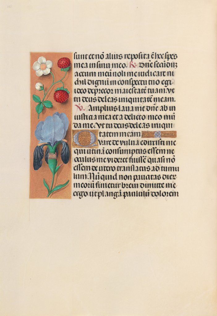 Detail of Hours of Queen Isabella the Catholic, Queen of Spain: Fol. 245v, c. 1500 by Master of the First Prayerbook of Maximillian