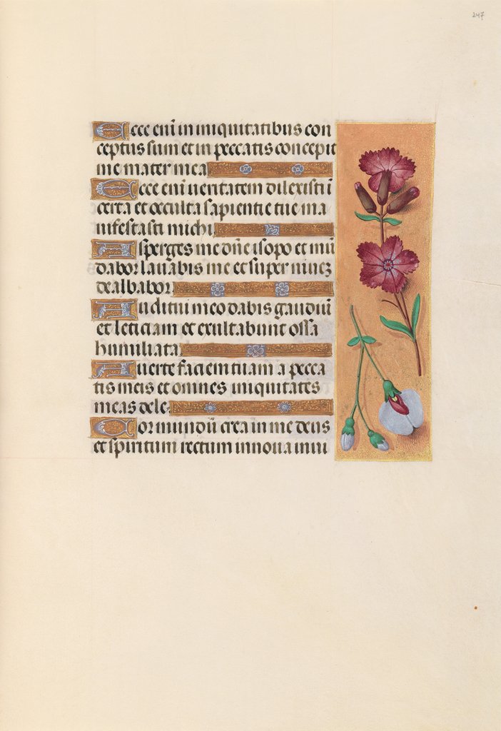 Detail of Hours of Queen Isabella the Catholic, Queen of Spain: Fol. 247r, c. 1500 by Master of the First Prayerbook of Maximillian