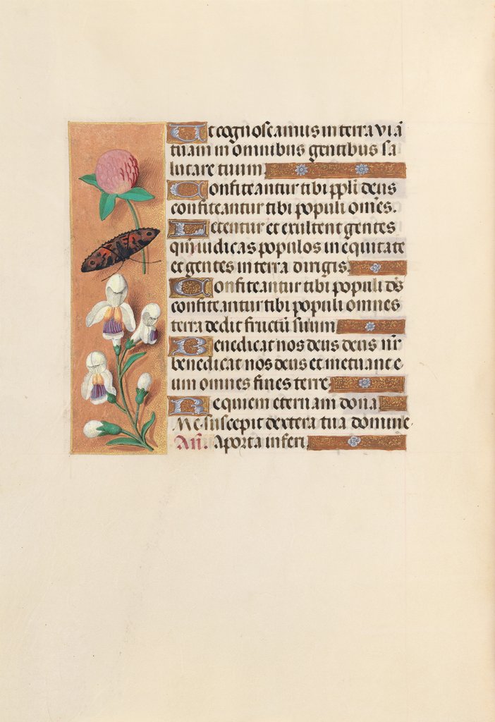 Detail of Hours of Queen Isabella the Catholic, Queen of Spain: Fol. 250v, c. 1500 by Master of the First Prayerbook of Maximillian