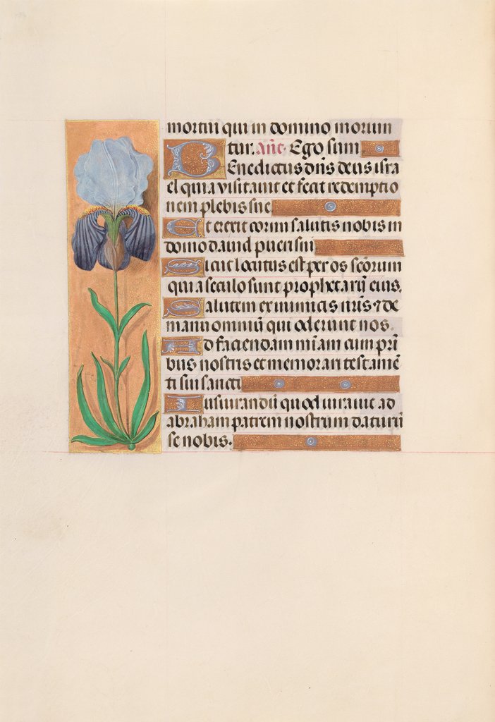 Detail of Hours of Queen Isabella the Catholic, Queen of Spain: Fol. 254v, c. 1500 by Master of the First Prayerbook of Maximillian