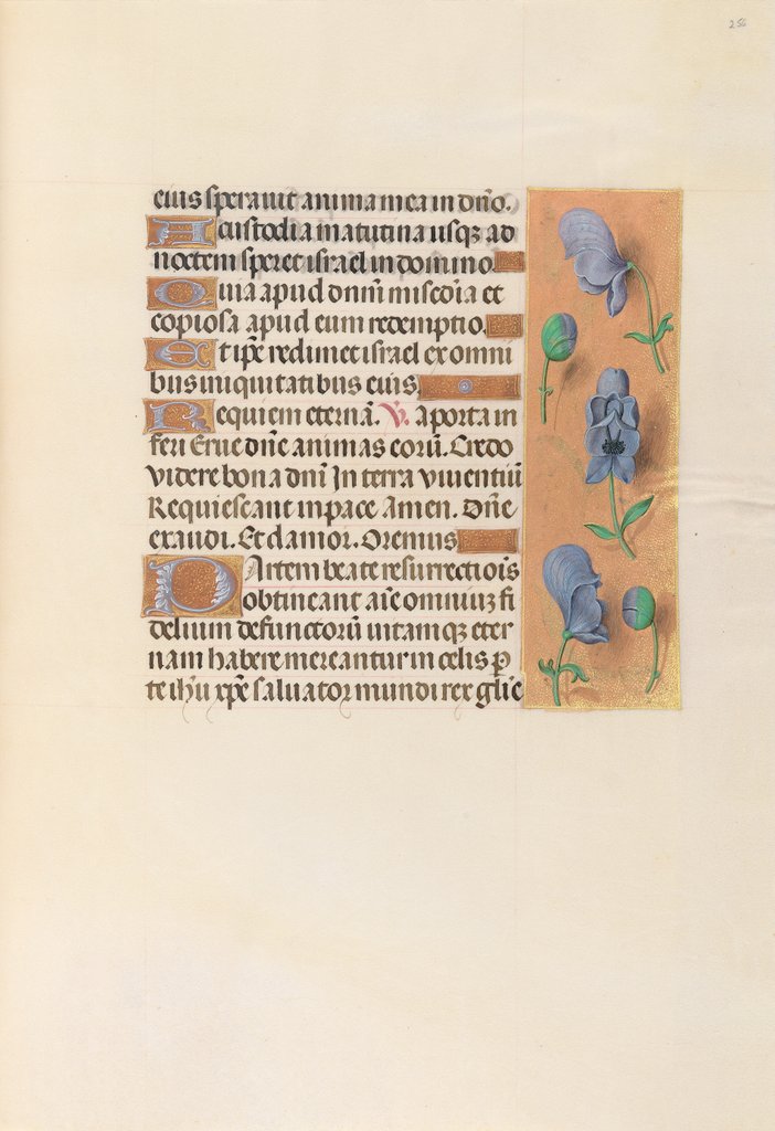 Detail of Hours of Queen Isabella the Catholic, Queen of Spain: Fol. 256r, c. 1500 by Master of the First Prayerbook of Maximillian