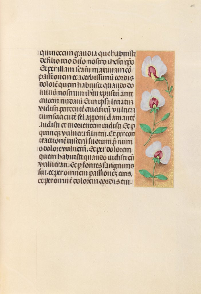 Detail of Hours of Queen Isabella the Catholic, Queen of Spain: Fol. 259r, c. 1500 by Master of the First Prayerbook of Maximillian