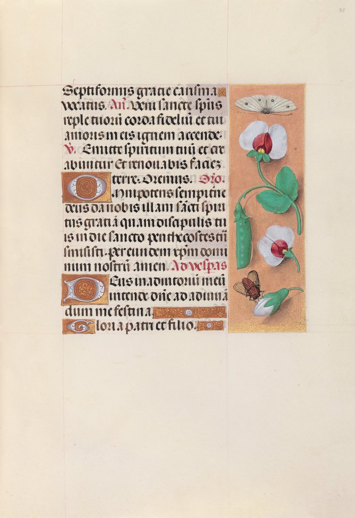 Detail of Hours of Queen Isabella the Catholic, Queen of Spain: Fol. 35r, c. 1500 by Master of the First Prayerbook of Maximillian