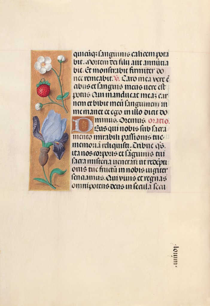 Detail of Hours of Queen Isabella the Catholic, Queen of Spain: Fol. 46v, c. 1500 by Master of the First Prayerbook of Maximillian