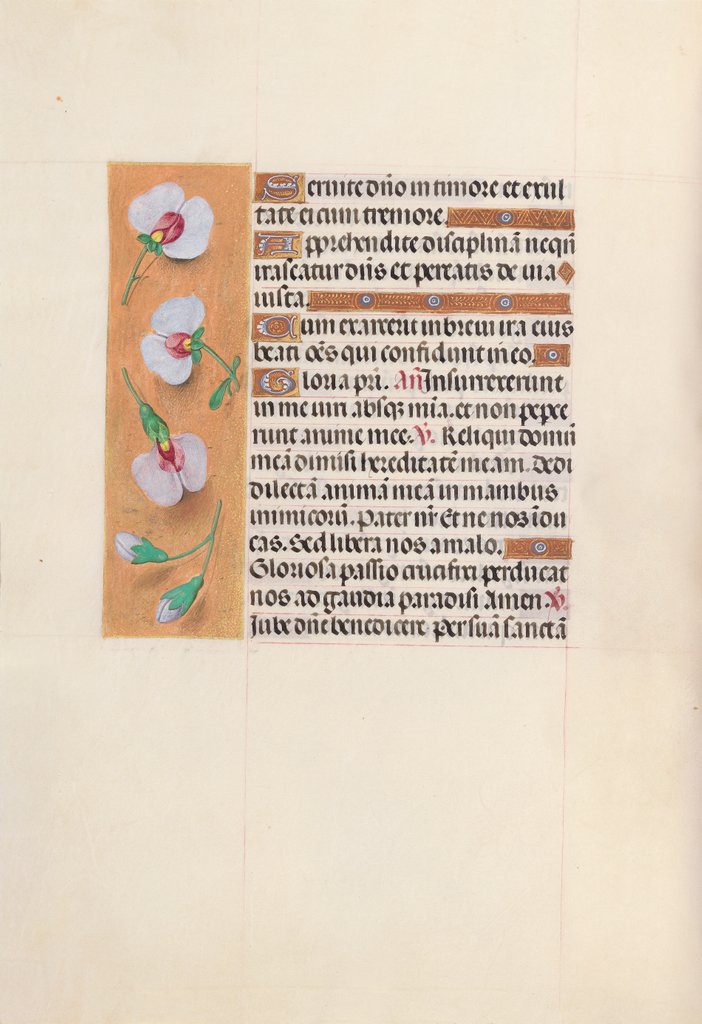Detail of Hours of Queen Isabella the Catholic, Queen of Spain: Fol. 53v, c. 1500 by Master of the First Prayerbook of Maximillian