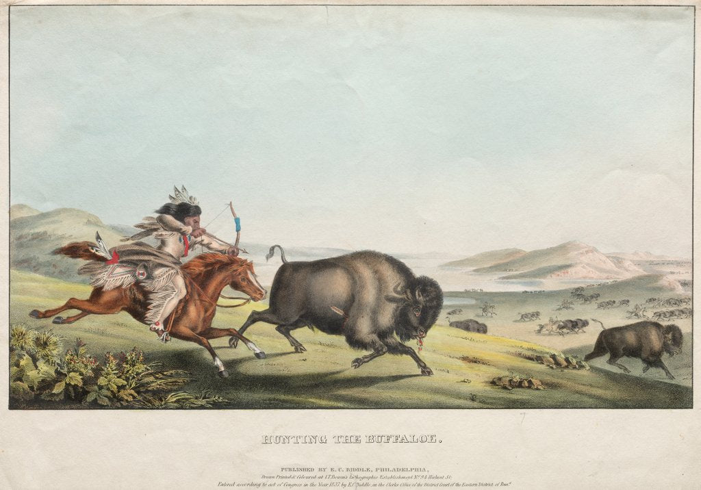 Detail of Hunting the Buffalo, 1837 by E. C. Biddle; John T. Bowen; E.C. Biddle