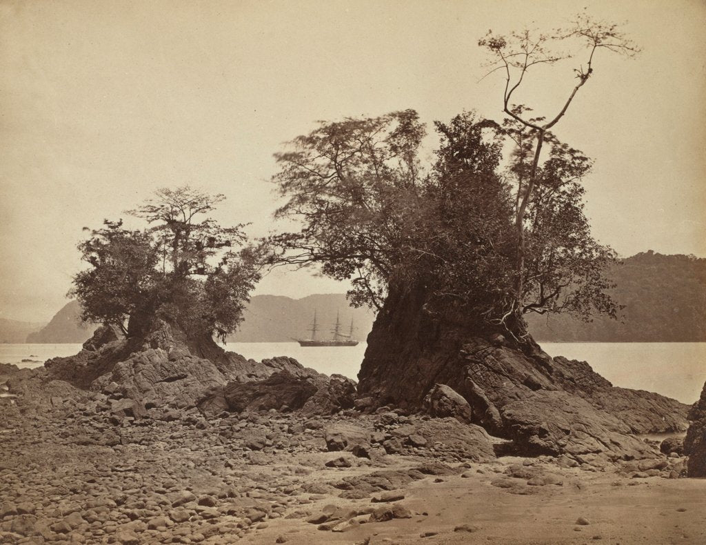 Detail of Islands in Limón Bay, 1871 by John Moran