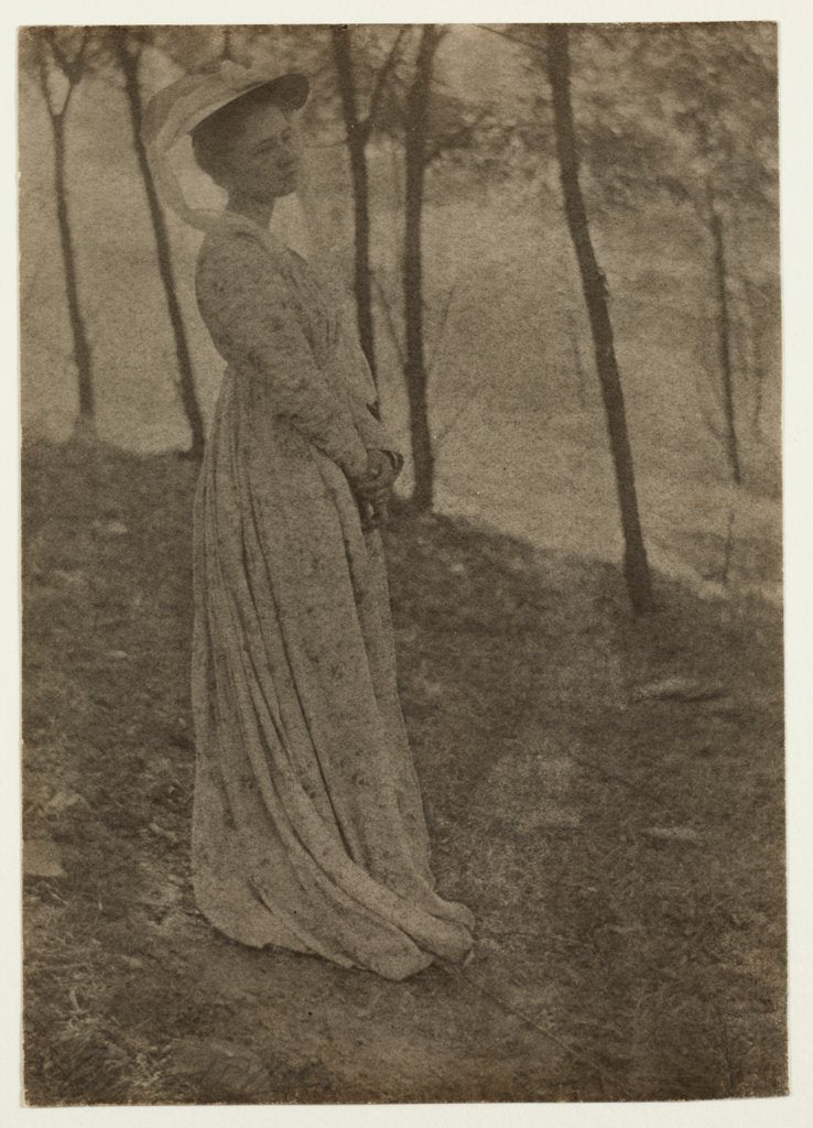 Detail of Julia Hall McCune, c. 1897 by Clarence H. White