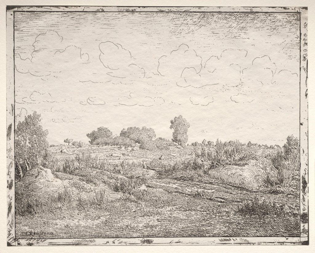 Detail of La Plaine de la Plante à Biau by Théodore Rousseau