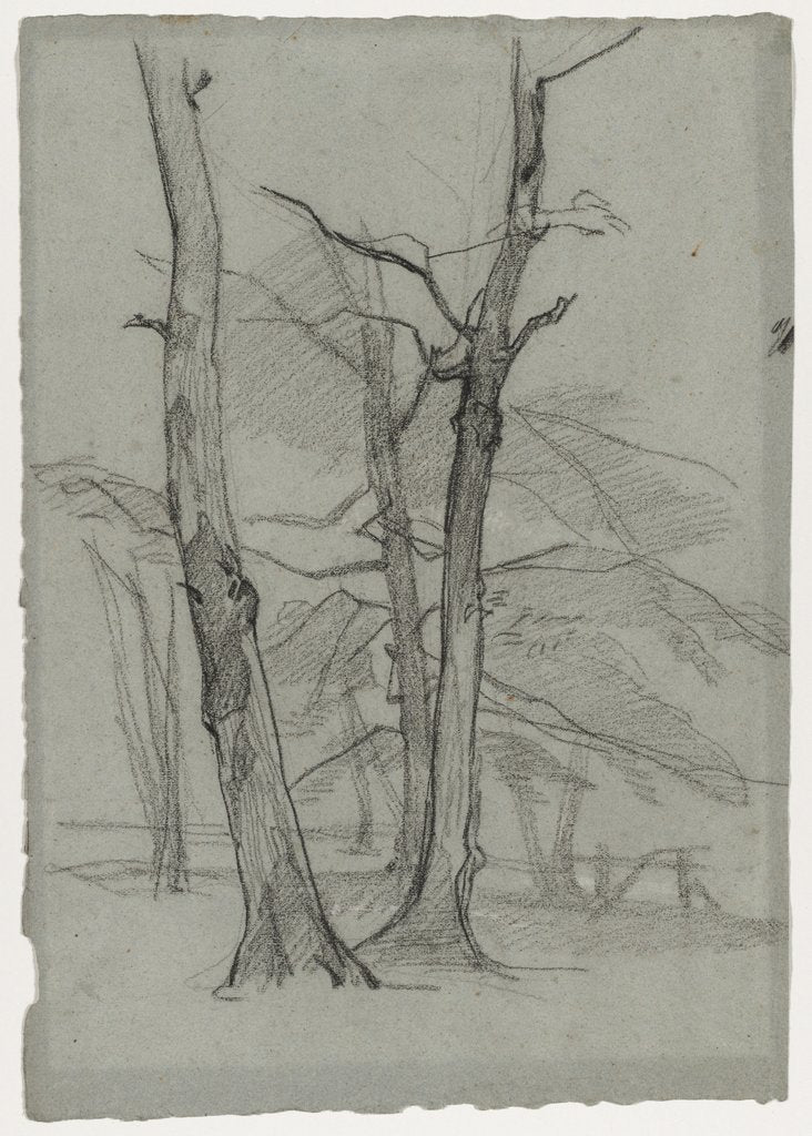 Detail of Landscape Study with Trees, c. 1870-1875 by Thomas Couture