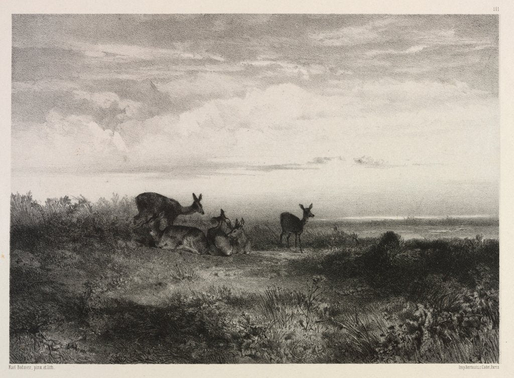 Detail of Landscape with Deer, c. 1840 by Karl Bodmer