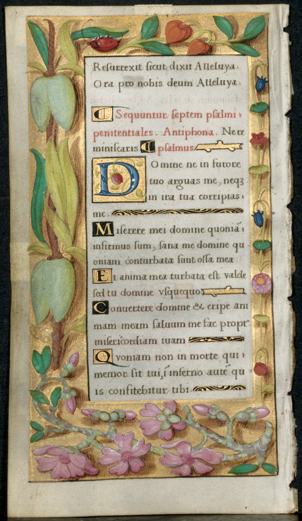 Detail of Leaf from a Book of Hours: Penitential Psalms, c. 1530-1535 by Noël Bellemare