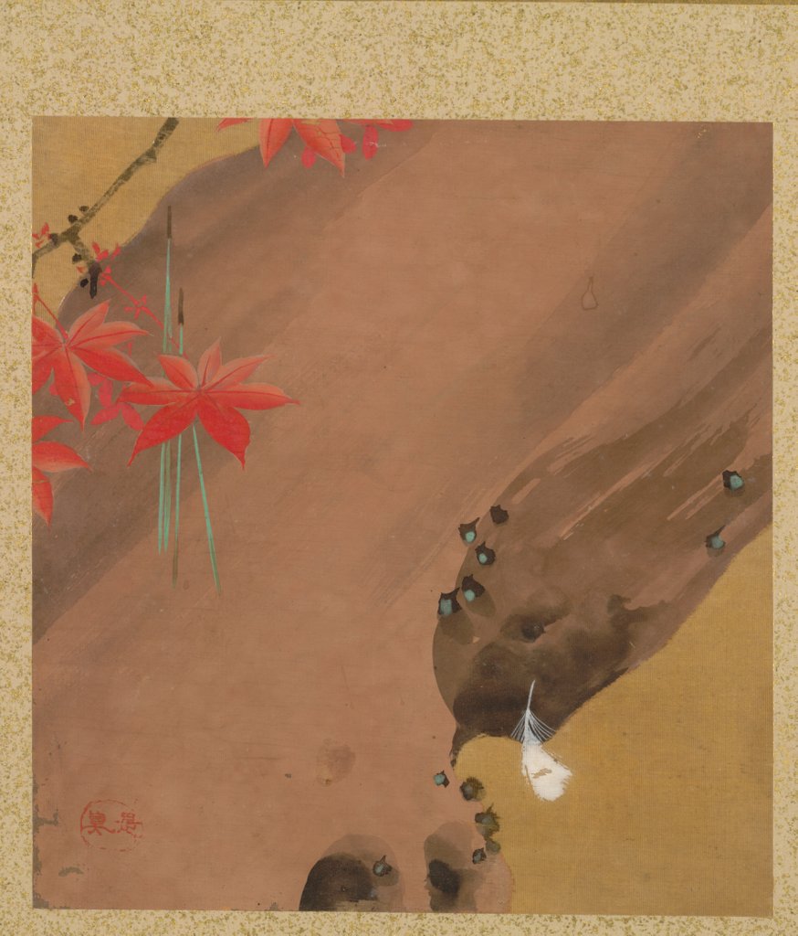 Detail of Leaf from Album of Seasonal Themes: Moths, 1847 by Shibata Zeshin