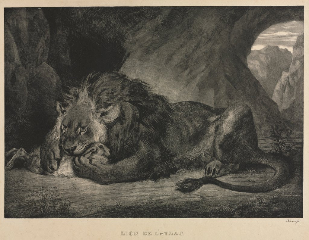 Detail of Lion de lAtlas, 1829 by Eugène Delacroix