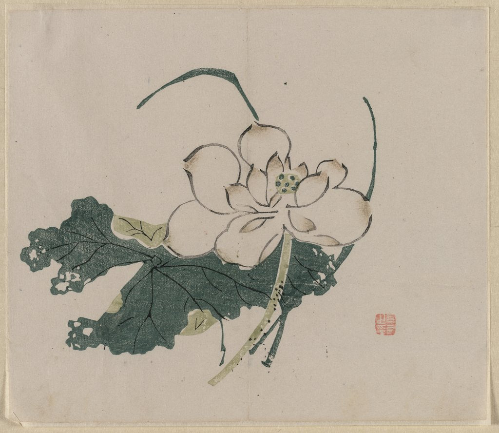 Detail of Lotus Blossom, 1368-1644 by Unknown