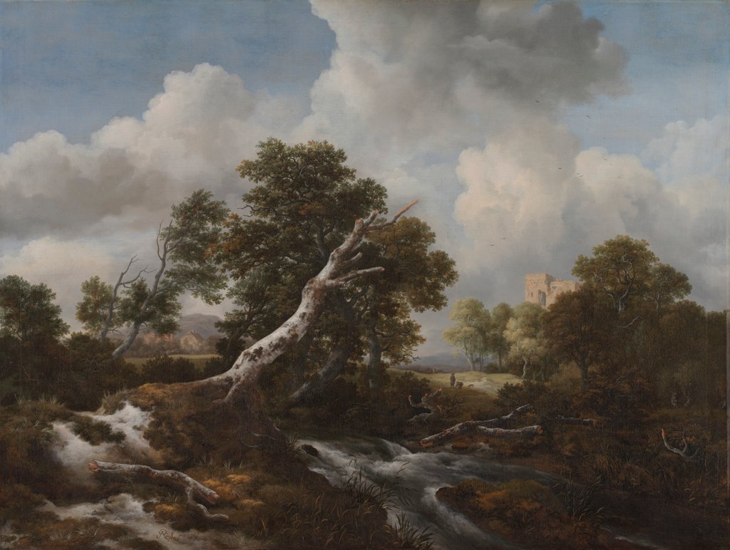 Detail of Low Waterfall in a Wooded Landscape with a Dead Beech Tree, c. 1660-1670 by Jacob van Ruisdael