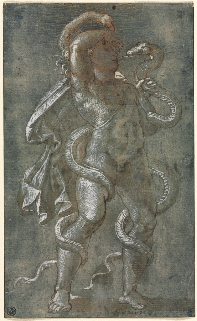 Detail of Man Entwined by Two Snakes, c. 1527 by Giovanni Antonio da Pordenone (attributed to)