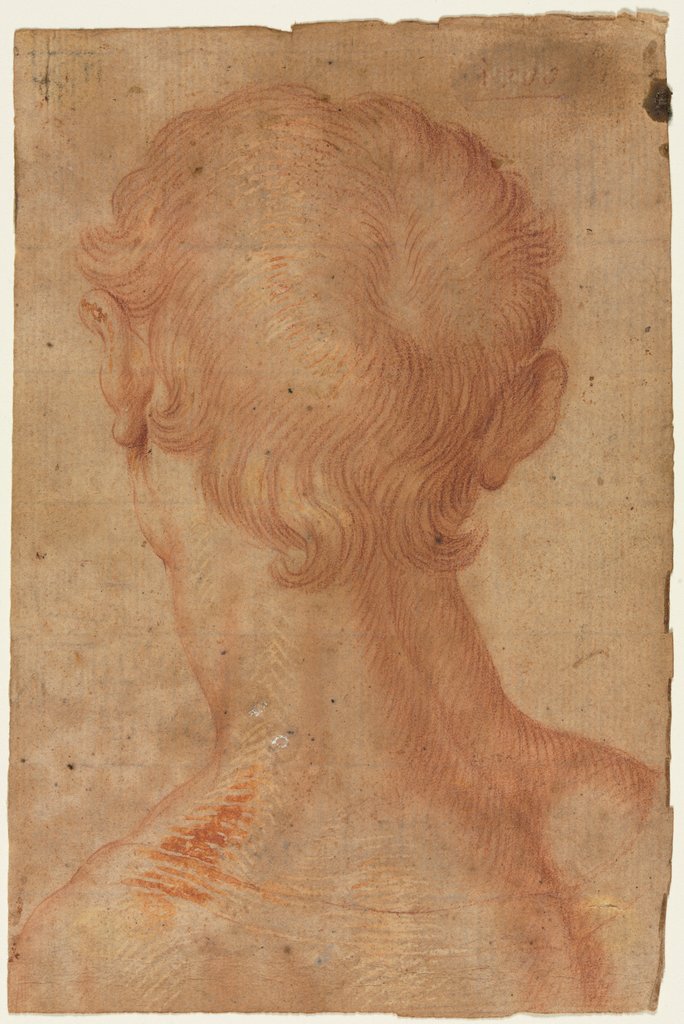 Detail of Man's Head from the Back by Unknown