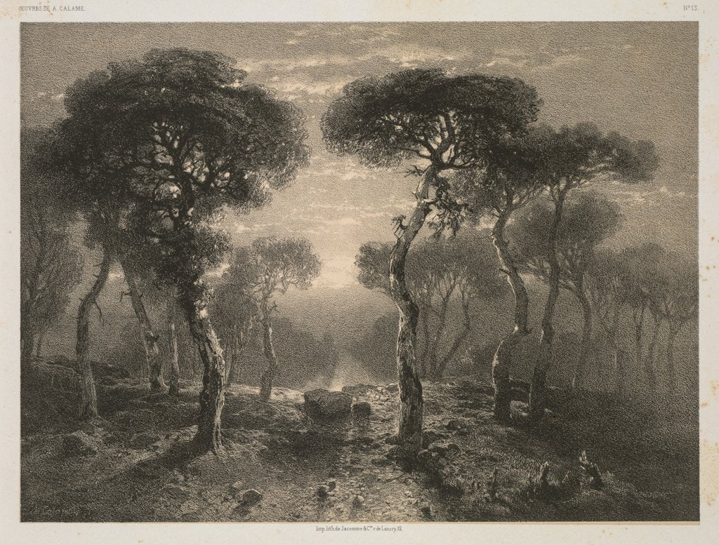 Detail of Oeuvres de A. Calame, No. 13: Forêt de Sierre en Valais, 1843 by Alexandre Calame; F. Delarue