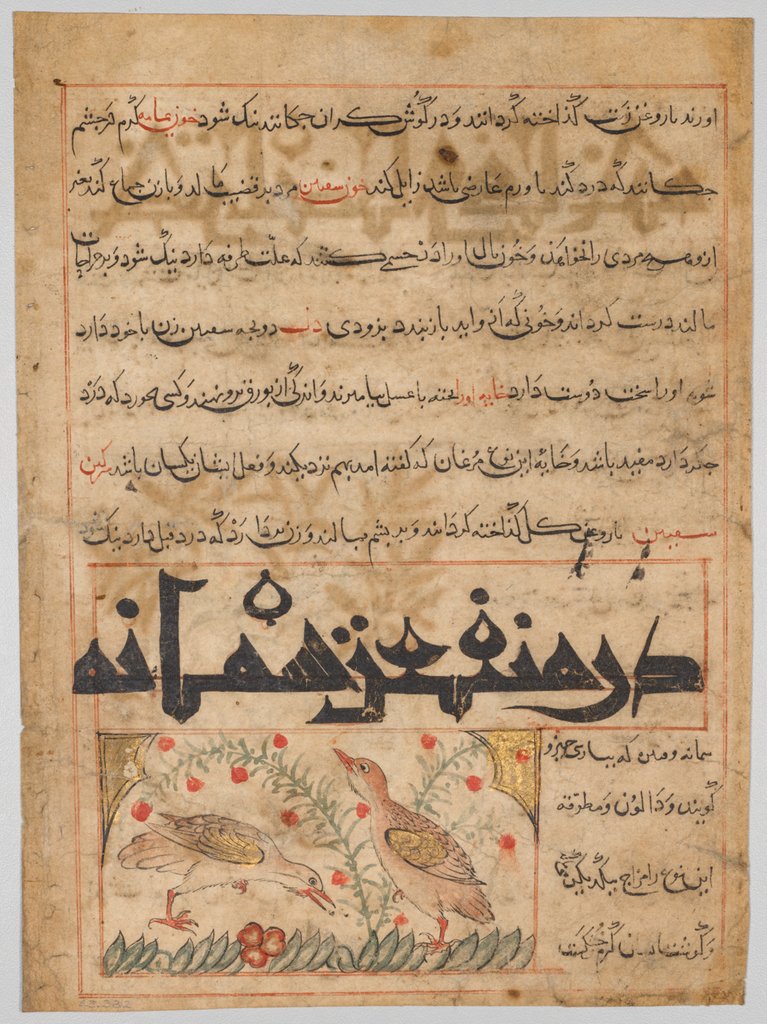 Detail of On the Benefits of Quails from a Manafi al-Hayawan…, c. 1300 by Unknown