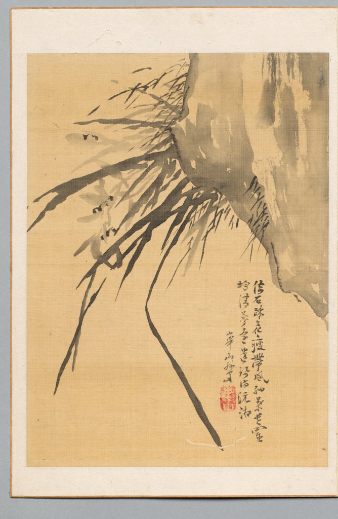 Detail of Orchid, 19th century by Watanabe Kazan