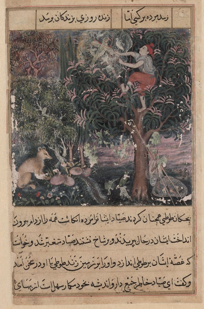 Detail of Page from Tales of a Parrot: Fifth night: The hunter throws away the baby…, c. 1560 by Basavana (attributed to)