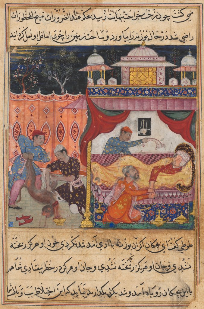 Detail of Page from Tales of a Parrot: Fifth night: The monkey slain, his blood…, c. 1560 by Unknown