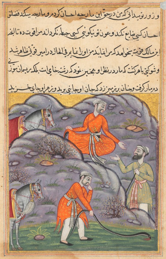 Detail of Page from Tales of a Parrot: Forty-fifth night: The Amir slays the snake…, c. 1560 by Unknown